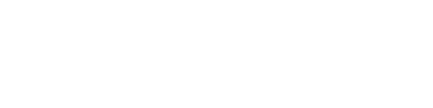 Incentiwise — Incentives made intelligent.